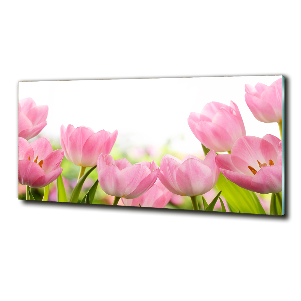 Tableau en verre Tulipes roses