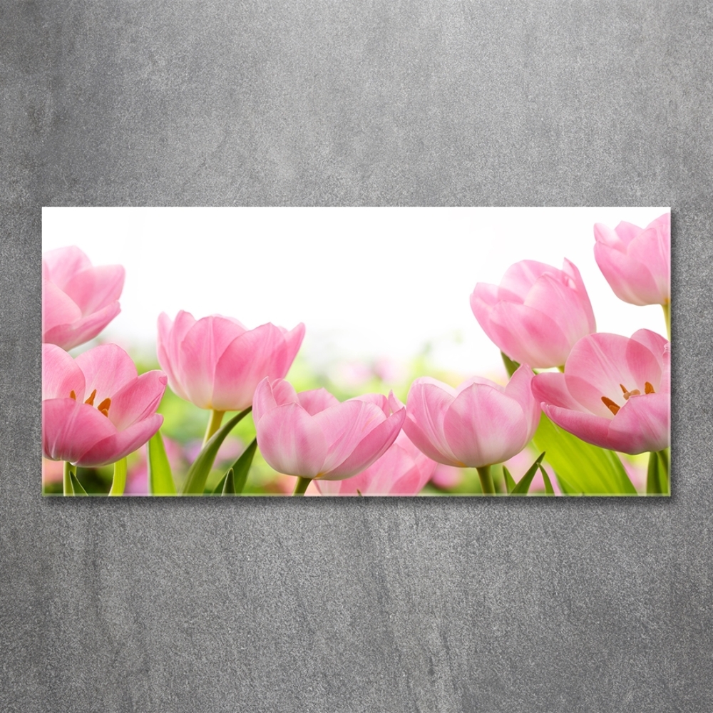 Tableau en verre Tulipes roses