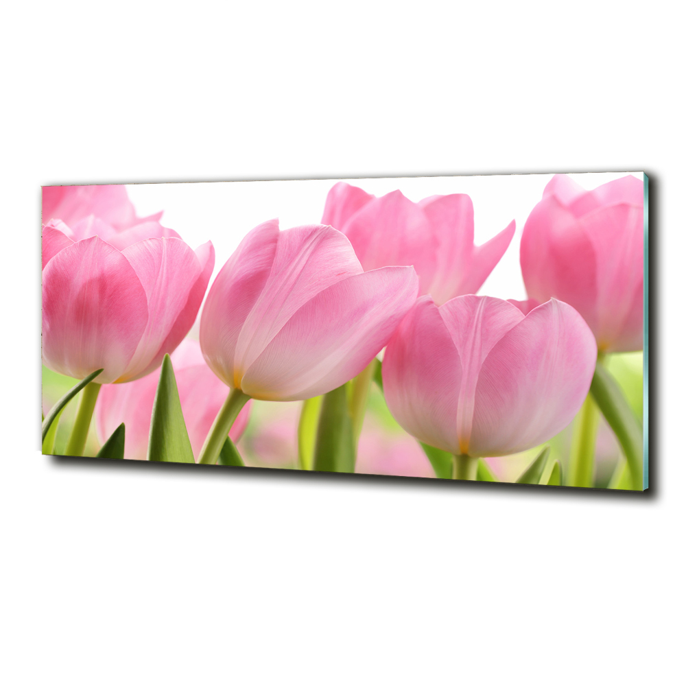 Tableau sur verre Tulipes roses