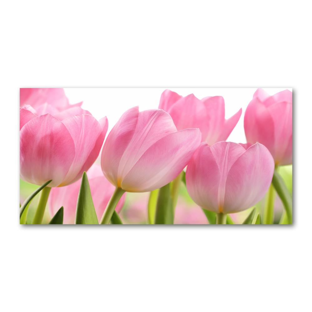 Tableau sur verre Tulipes roses