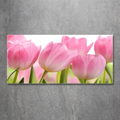 Tableau sur verre Tulipes roses