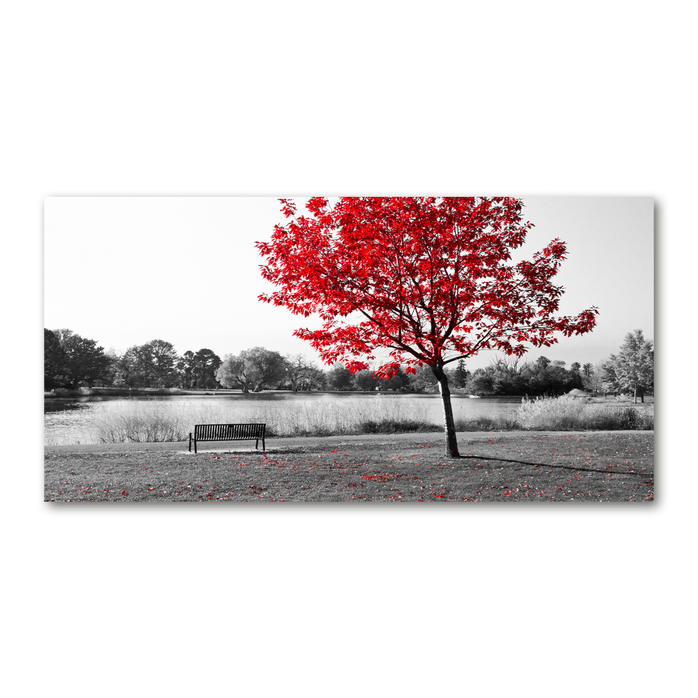 Tableau en verre Arbre rouge