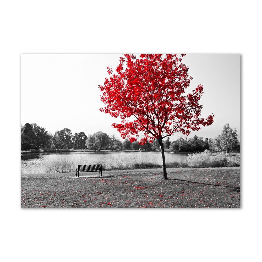 Tableau en verre Arbre rouge