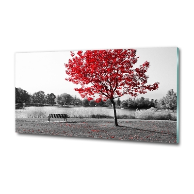 Tableau en verre Arbre rouge