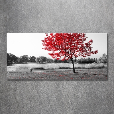 Tableau en verre Arbre rouge