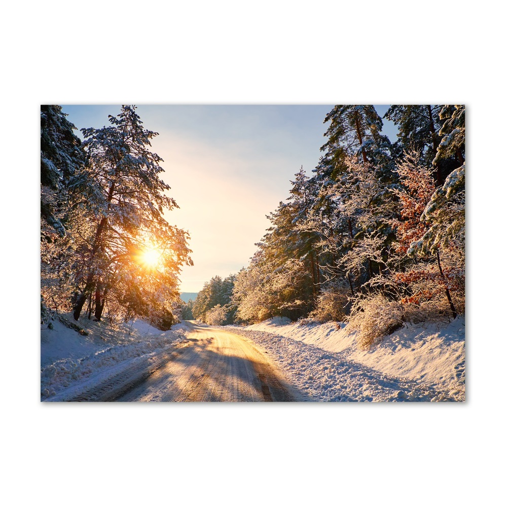 Tableau en verre Route dans la forêt en hiver