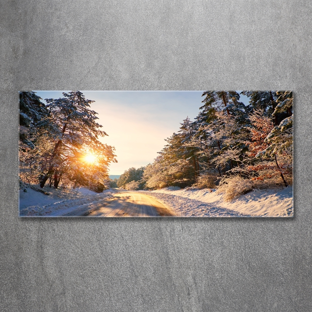 Tableau en verre Route dans la forêt en hiver