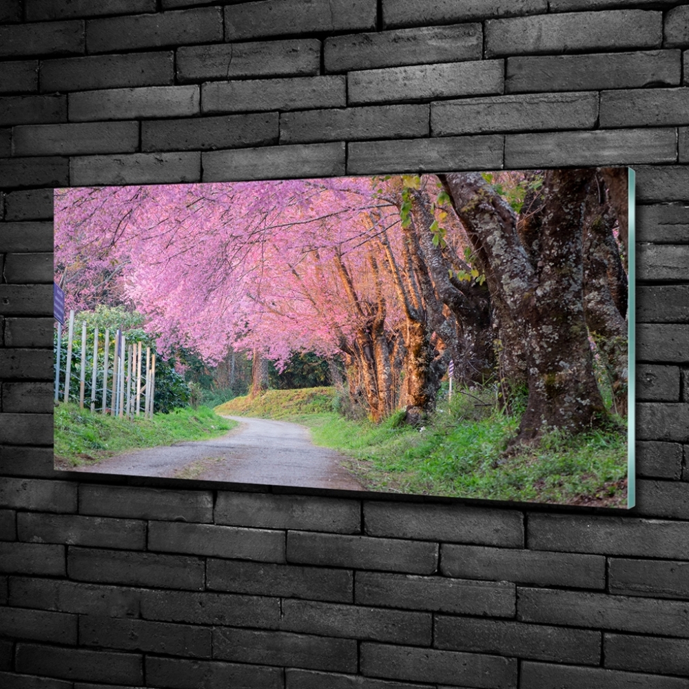 Tableau sur verre Cerisier en fleurs