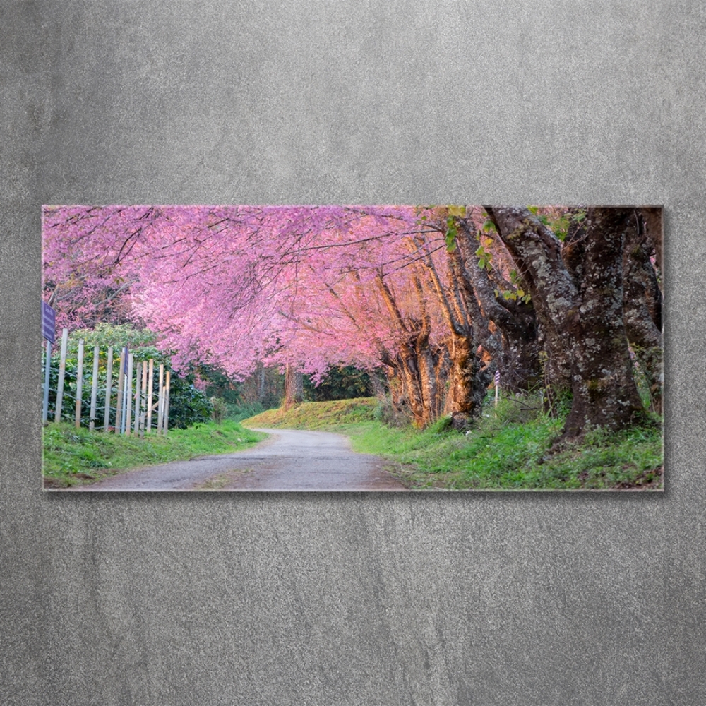 Tableau sur verre Cerisier en fleurs