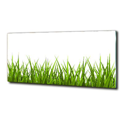 Tableau imprimé sur verre Herbe