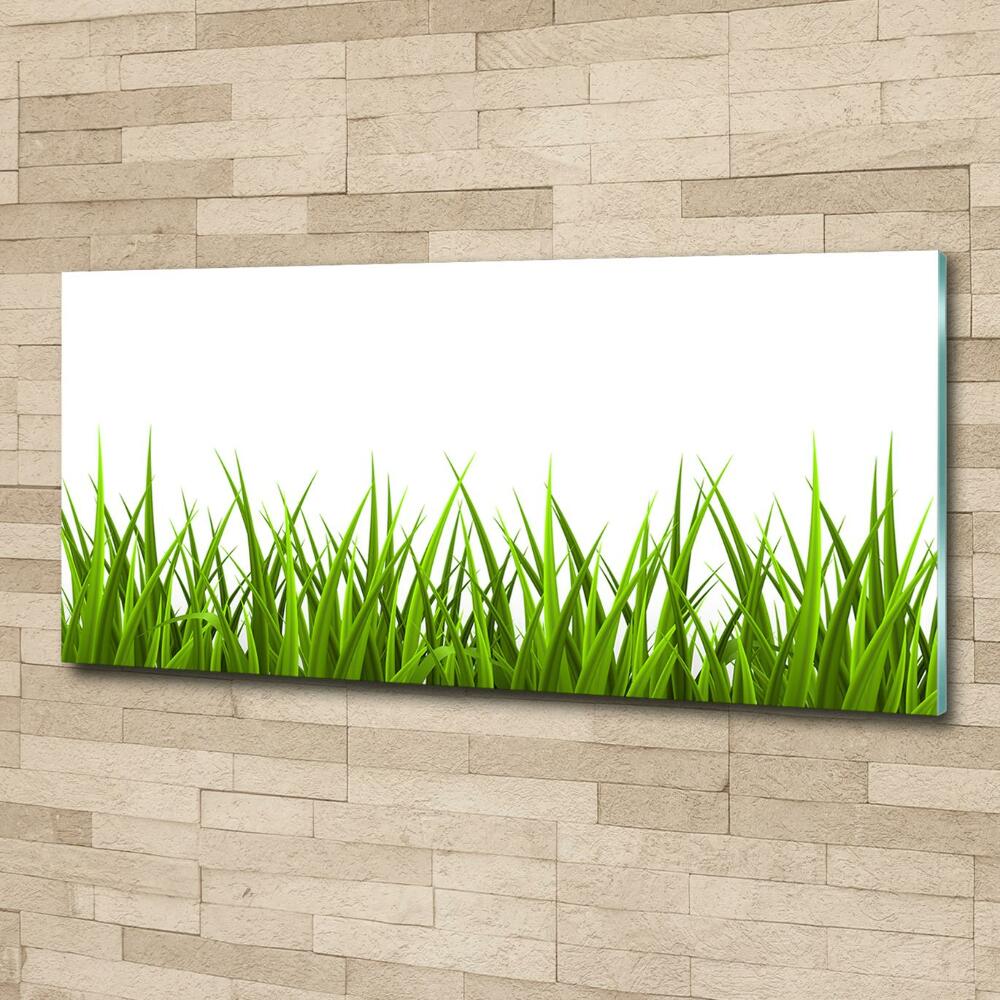 Tableau imprimé sur verre Herbe