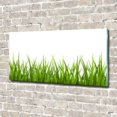 Tableau imprimé sur verre Herbe