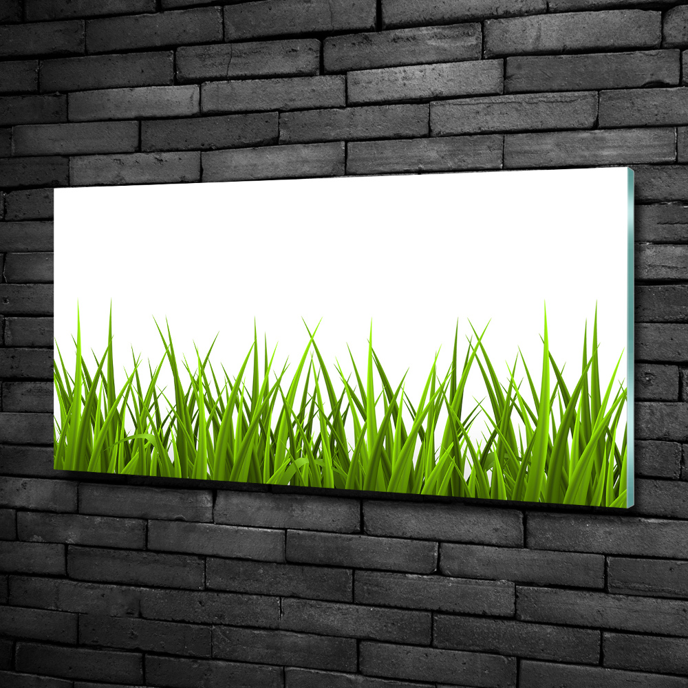 Tableau imprimé sur verre Herbe