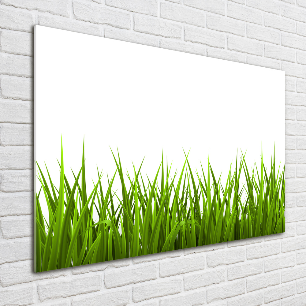 Tableau imprimé sur verre Herbe