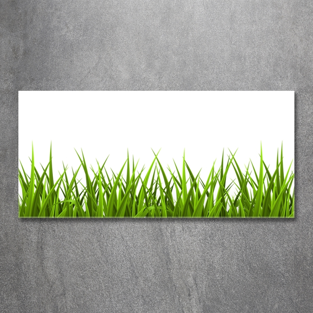 Tableau imprimé sur verre Herbe