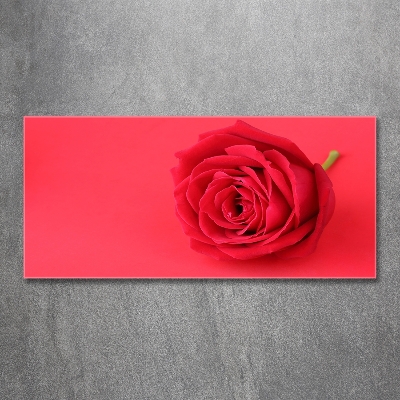 Tableau imprimé sur verre Rose rouge