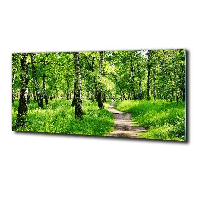 Tableau en verre Forêt de bouleaux