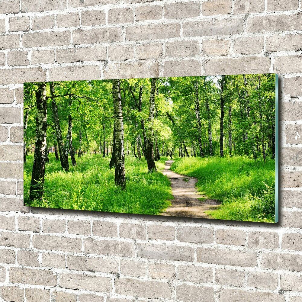 Tableau en verre Forêt de bouleaux