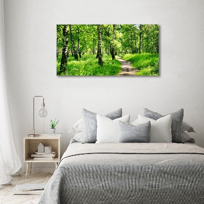 Tableau en verre Forêt de bouleaux