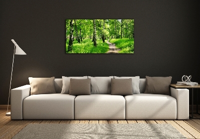 Tableau en verre Forêt de bouleaux