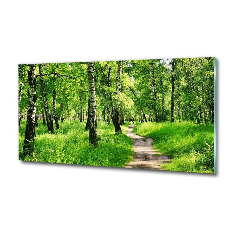 Tableau en verre Forêt de bouleaux