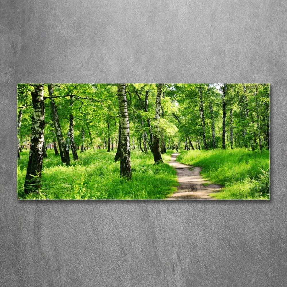 Tableau en verre Forêt de bouleaux