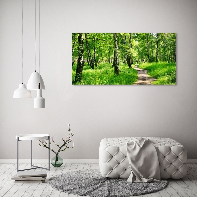 Tableau en verre Forêt de bouleaux