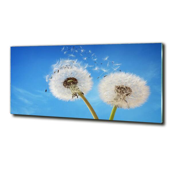 Tableau verre imprimé Gonflables