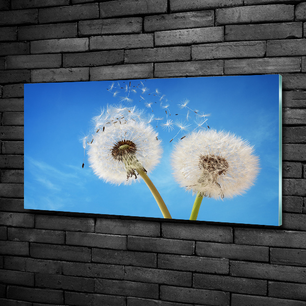 Tableau verre imprimé Gonflables