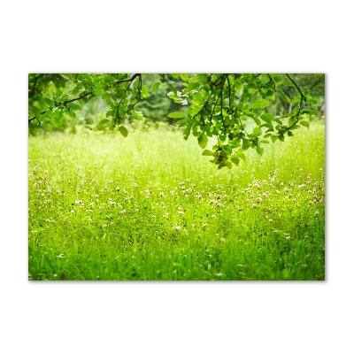 Tableau imprimé sur verre Pré vert