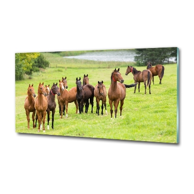 Tableau en verre Troupeau de chevaux dans un pré