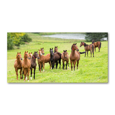 Tableau en verre Troupeau de chevaux dans un pré