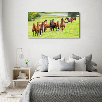 Tableau en verre Troupeau de chevaux dans un pré