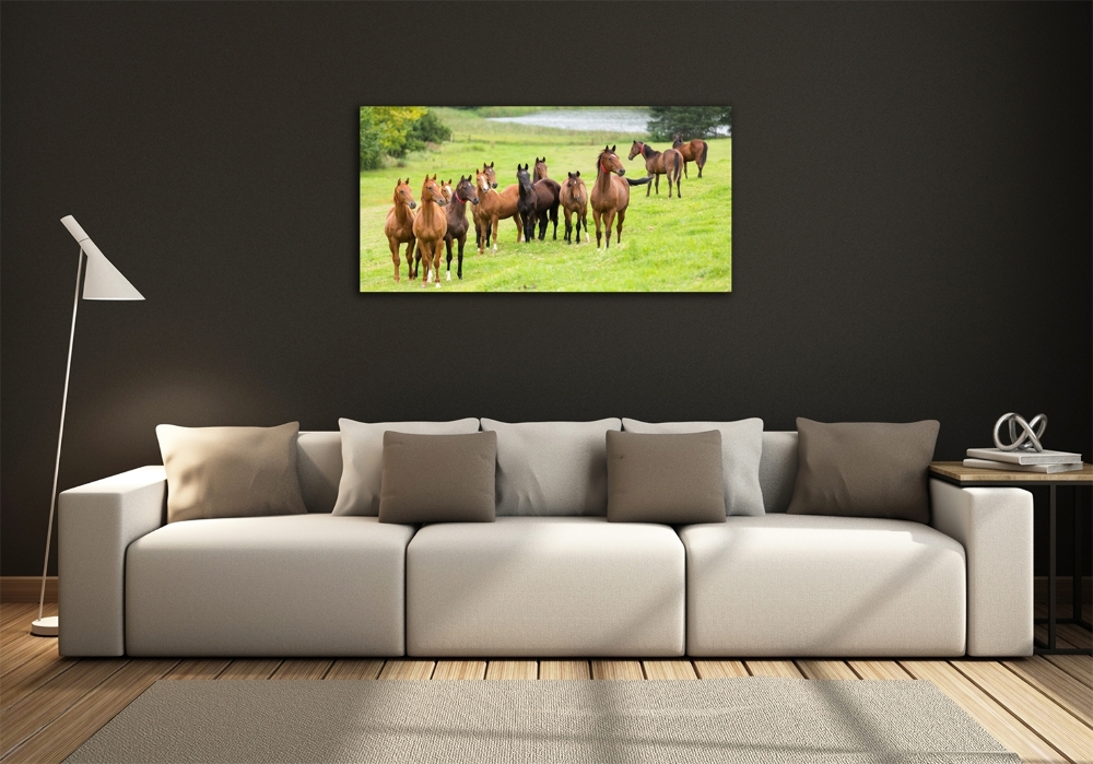 Tableau en verre Troupeau de chevaux dans un pré