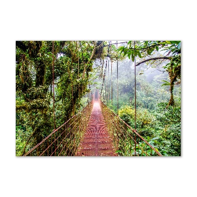 Tableau photo sur verre Pont sous les tropiques