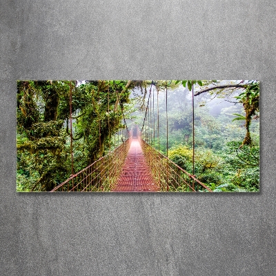 Tableau photo sur verre Pont sous les tropiques