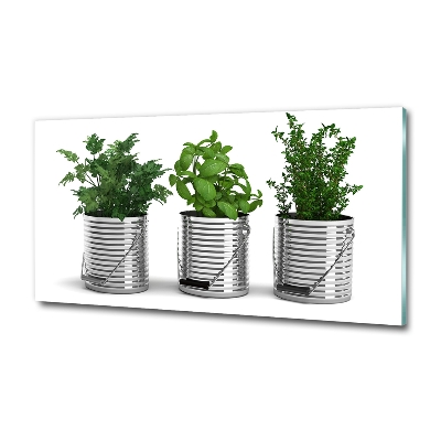 Tableau photo sur verre Plantes aromatiques