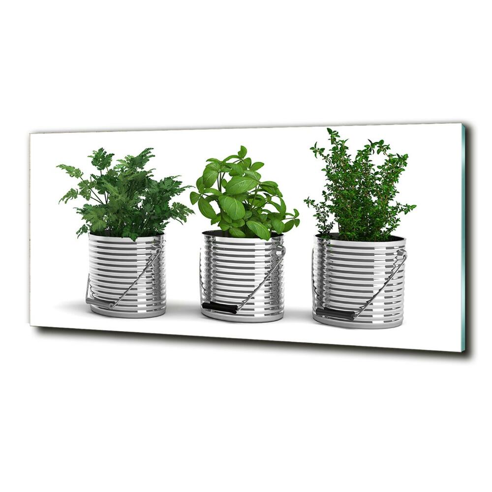 Tableau photo sur verre Plantes aromatiques