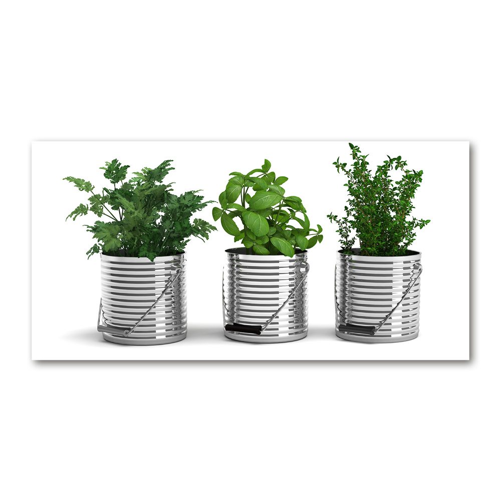 Tableau photo sur verre Plantes aromatiques