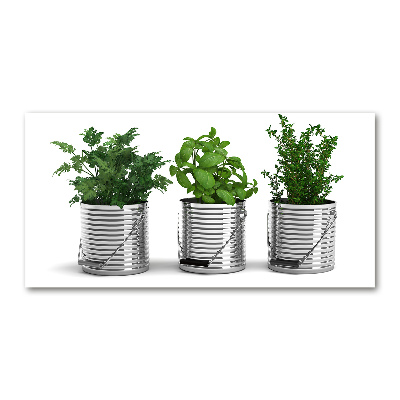 Tableau photo sur verre Plantes aromatiques