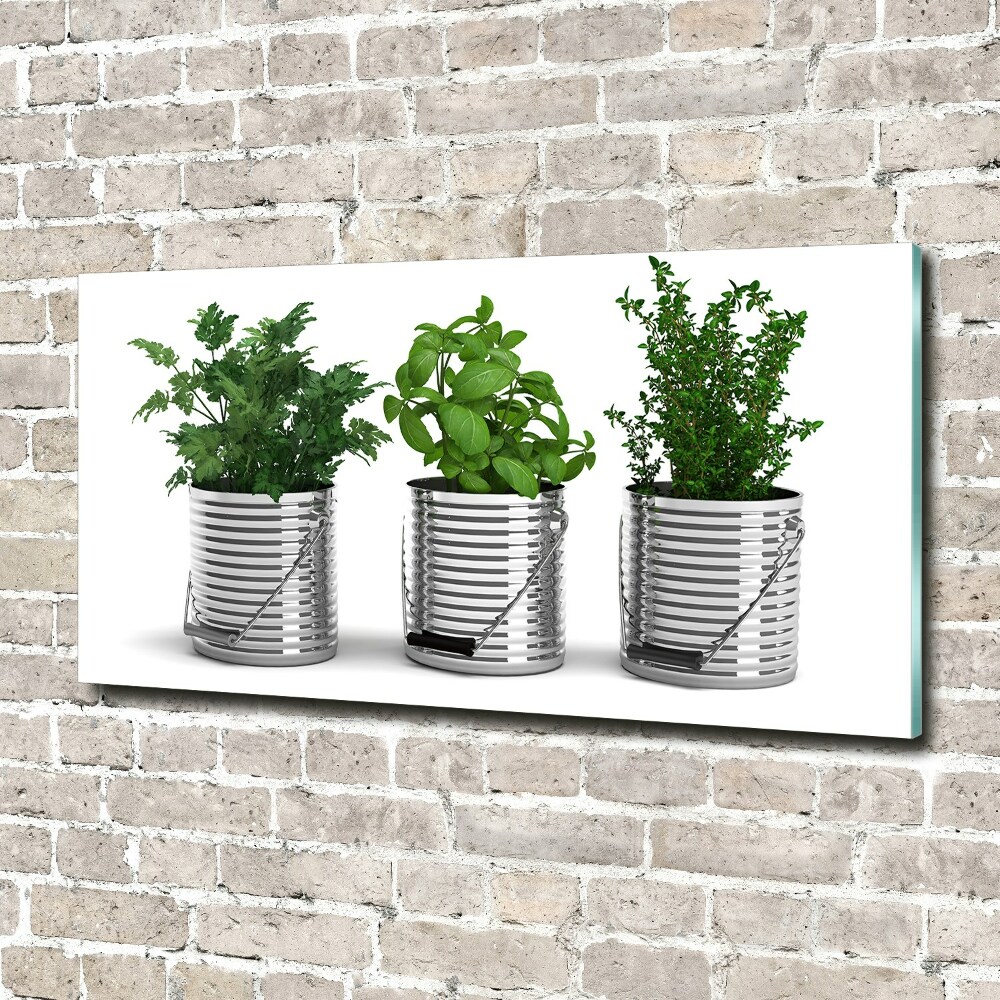 Tableau photo sur verre Plantes aromatiques