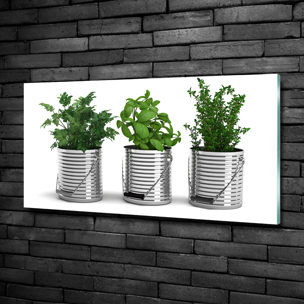 Tableau photo sur verre Plantes aromatiques