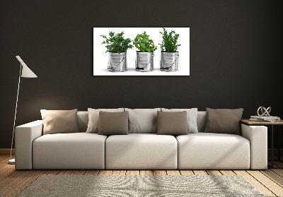 Tableau photo sur verre Plantes aromatiques