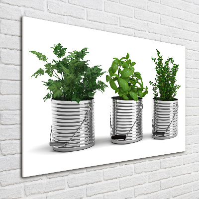 Tableau photo sur verre Plantes aromatiques