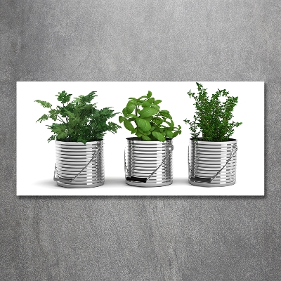 Tableau photo sur verre Plantes aromatiques