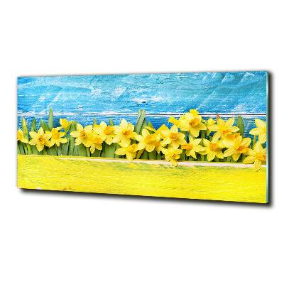 Tableau photo sur verre Jonquilles