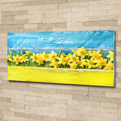 Tableau photo sur verre Jonquilles