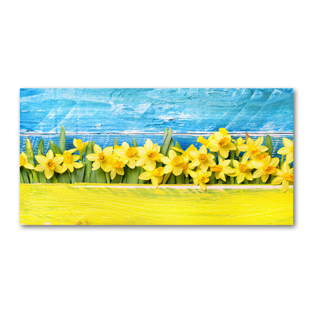 Tableau photo sur verre Jonquilles