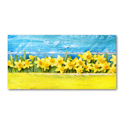 Tableau photo sur verre Jonquilles