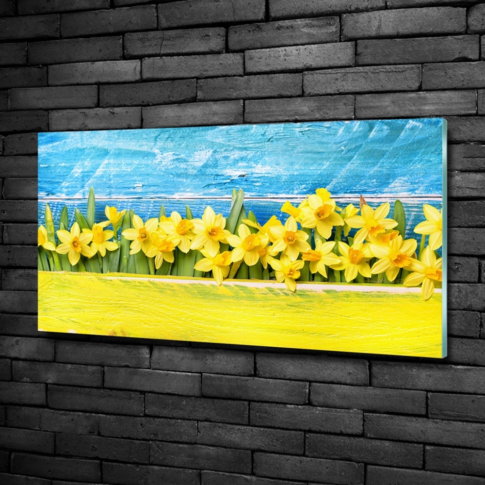 Tableau photo sur verre Jonquilles